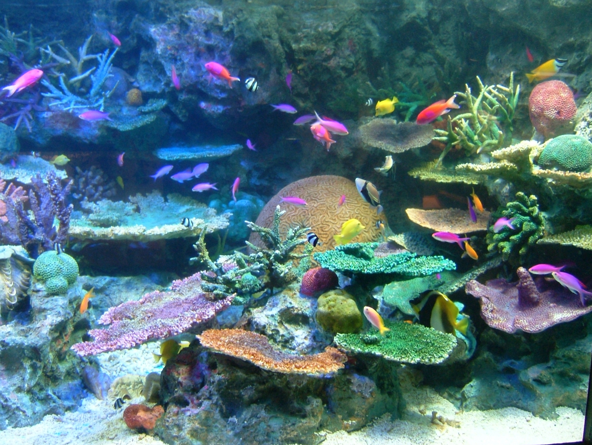 1人でも誰とでも楽しめる、関西のオススメ水族館3選！